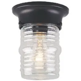 Jelly Jar Light Fixture, 60-Watt Max 1