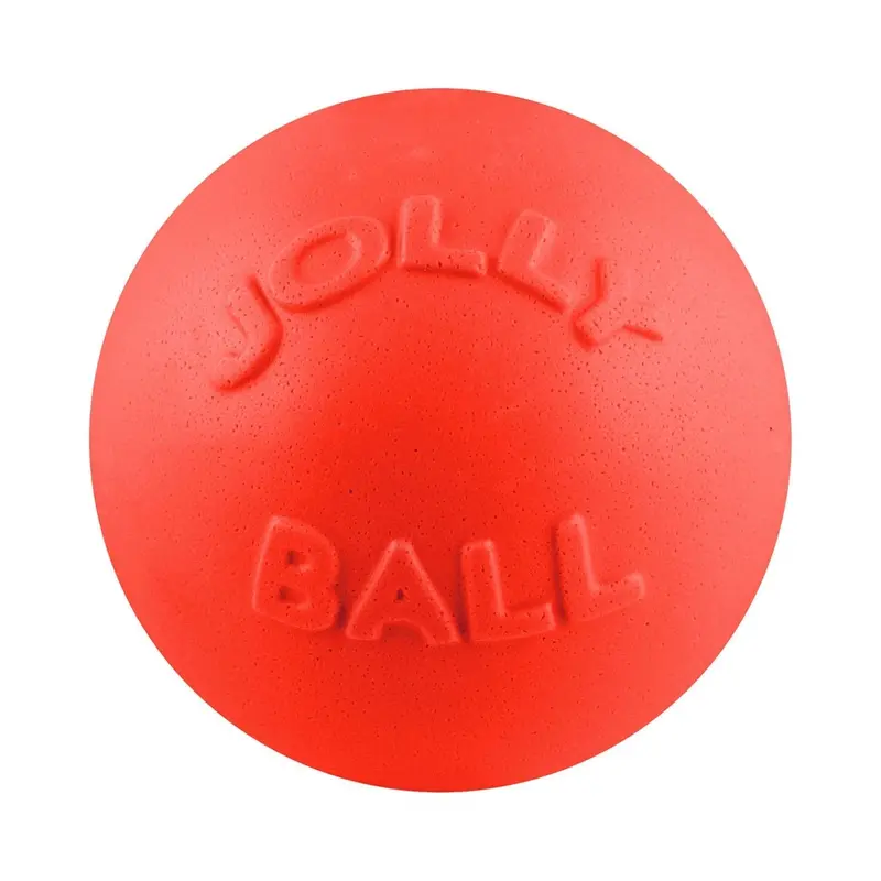 Jolly Pets Bounce-N-Play Dog Toy 1