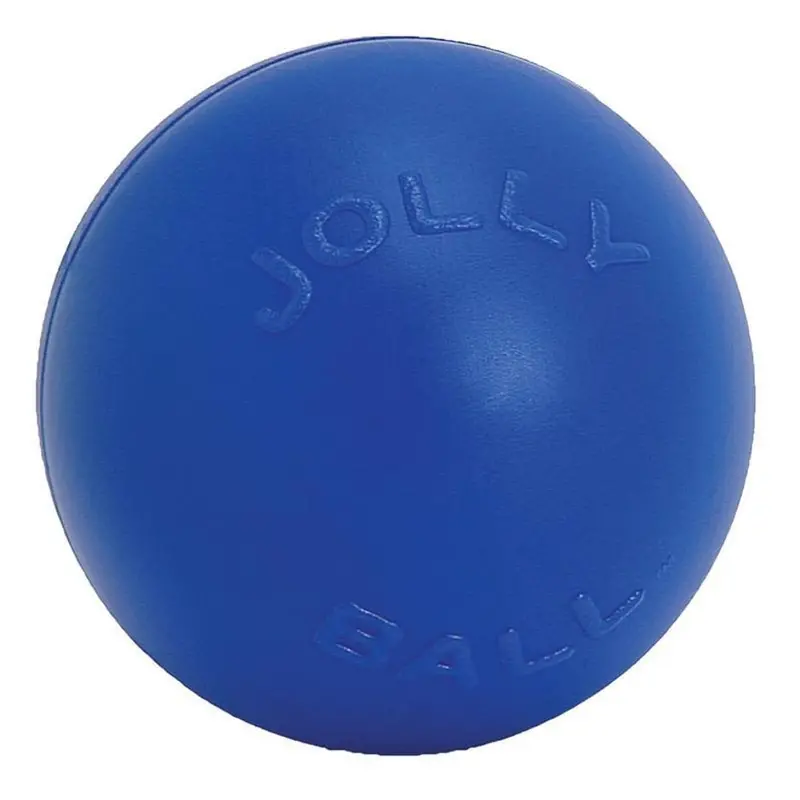 Jolly Pets Push-N-Play Toy 2