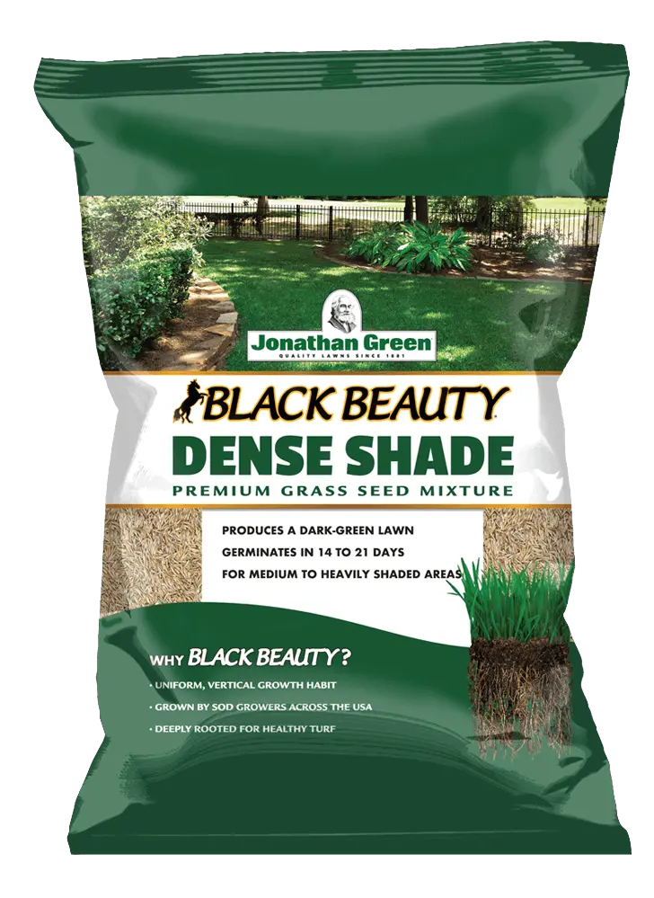Jonathan Green Black Beauty® Dense Shade Grass Seed 1