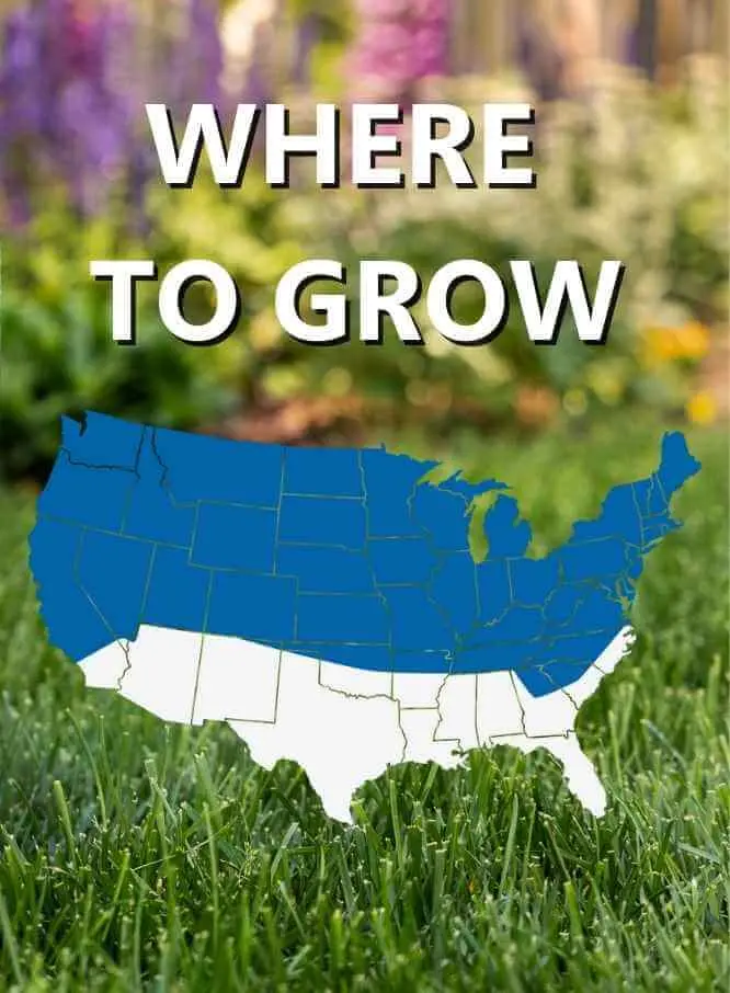 Jonathan Green Black Beauty® Sun & Shade Grass Seed 3