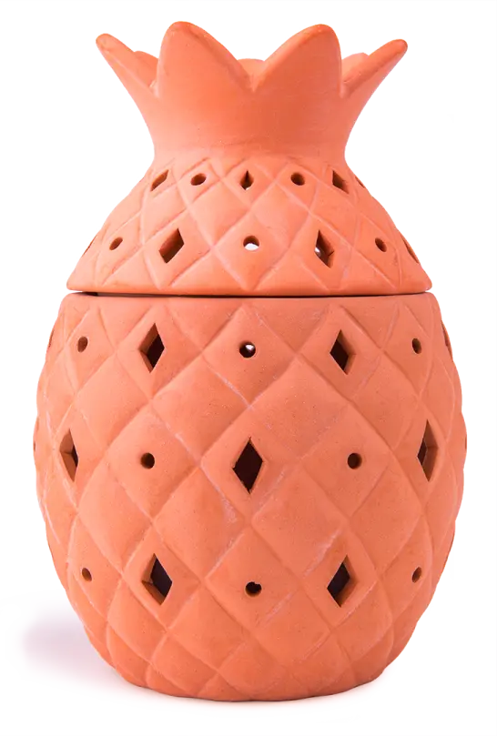 Jt Eaton Zendozones® Large Citronella Burner Big Papa Pineapple 1