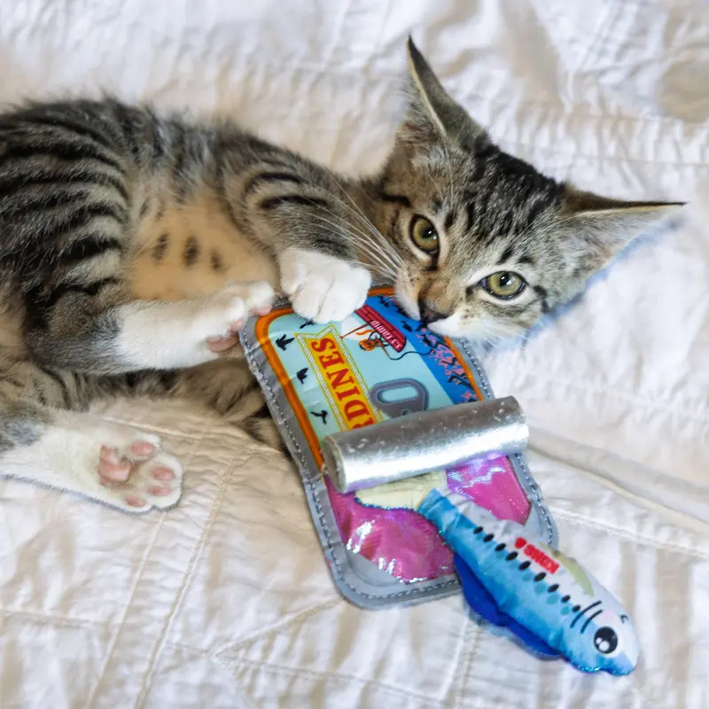 Kong Crackles Sardine Cat Toy 2