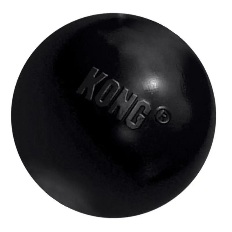 Kong Extreme Ball Dog Toy 1