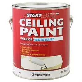 Latex Ceiling Paint, Brite White Flat, 1-Gallon 1