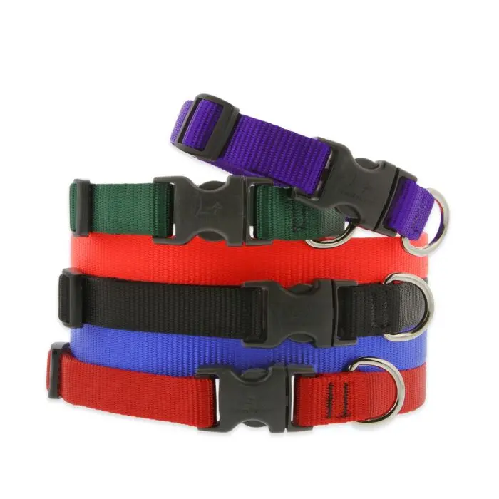 Lupine Pet Basic Solids Dog Collar 1