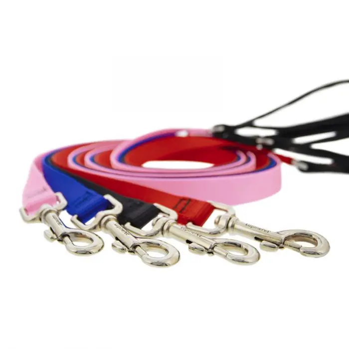 Lupine Pet Basic Solids Dog Leash 1