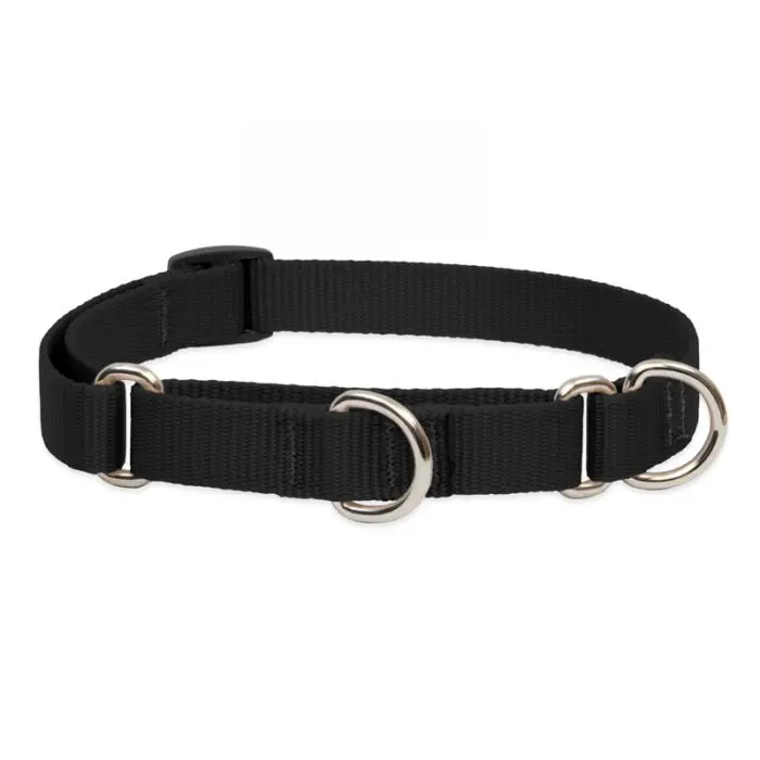 Lupine Pet Basic Solids Martingale Collars For Training 1