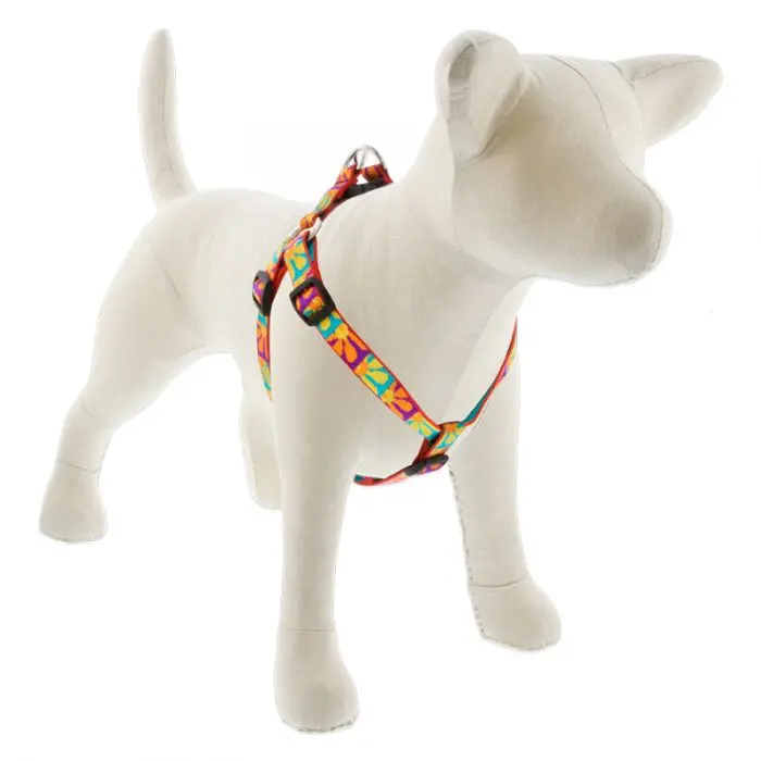 Lupine Pet Original Designs Dog Collar 1