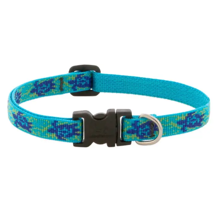 Lupine Pet Original Designs Dog Collar 1