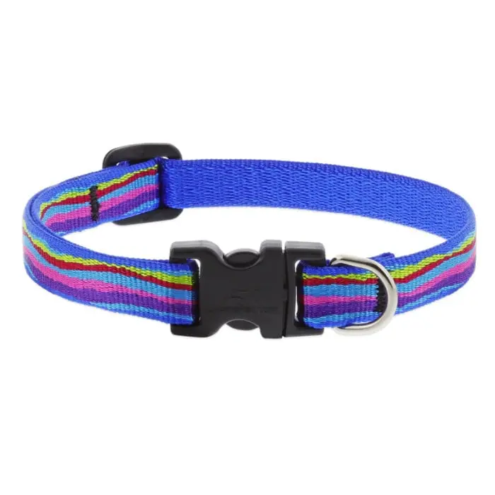 Lupine Pet Original Designs Dog Collar 11