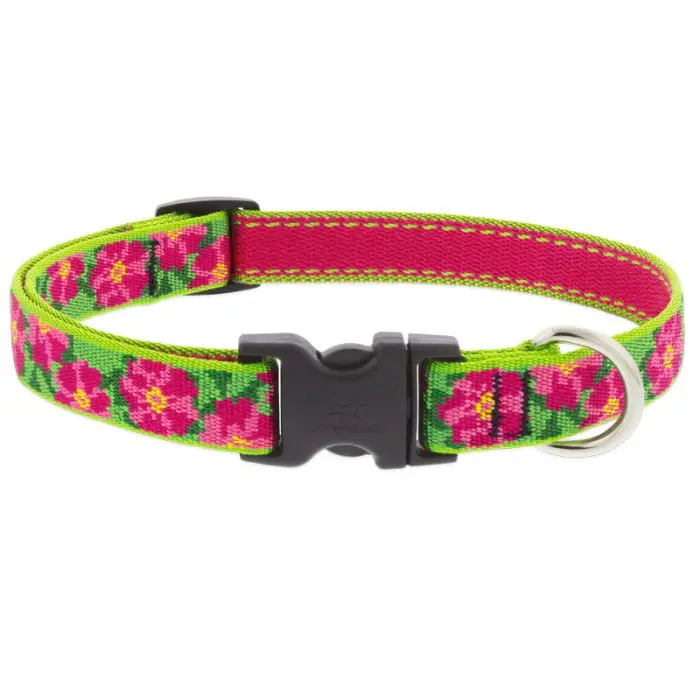Lupine Pet Original Designs Dog Collar 2