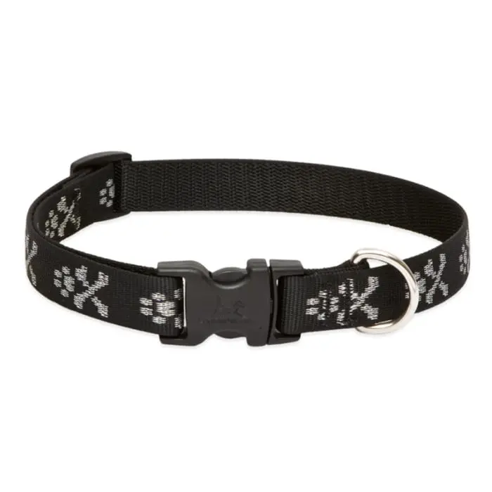 Lupine Pet Original Designs Dog Collar 3