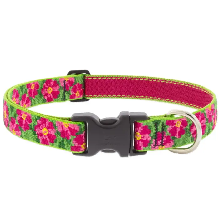 Lupine Pet Original Designs Dog Collar 4