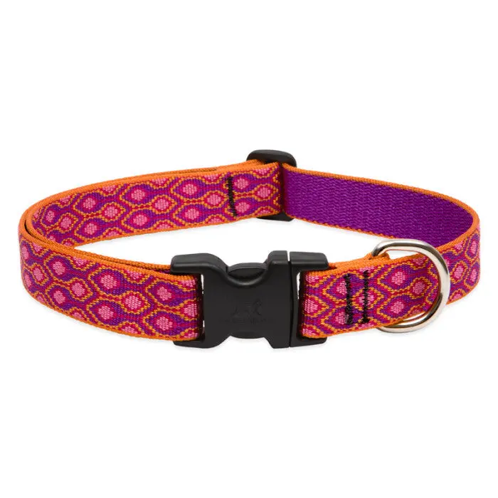 Lupine Pet Original Designs Dog Collar 6