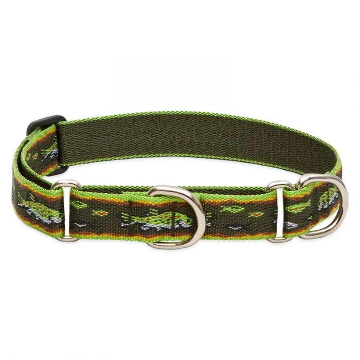Lupine Pet Original Designs Martingale Training Collar 1