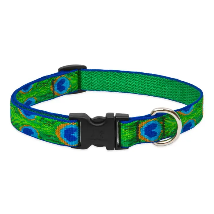 Lupine Pet Original Patterned Dog Collar