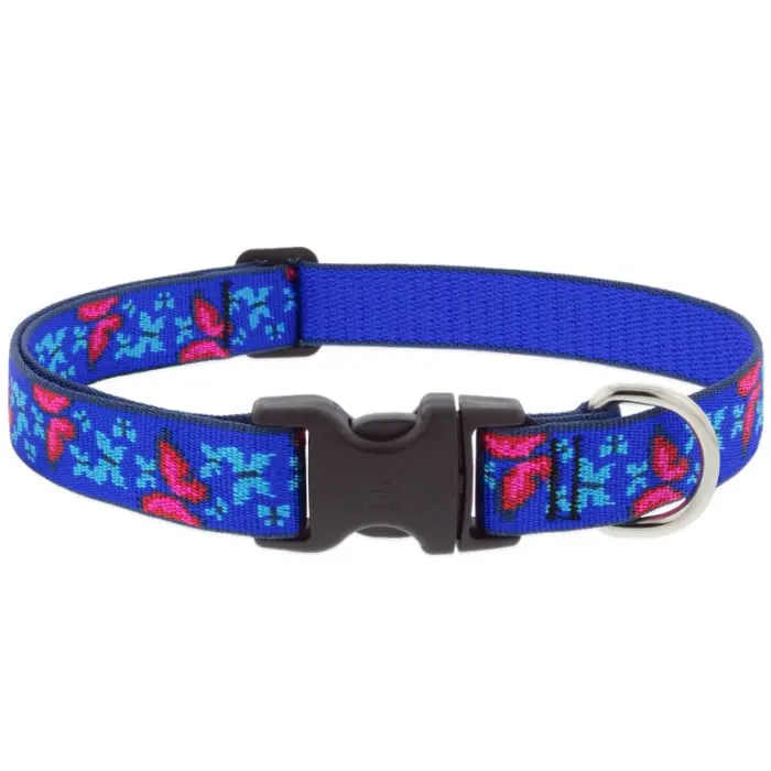 Lupine Pet Original Patterned Dog Collar