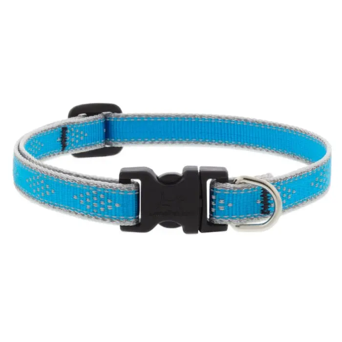 Lupine Pet Reflective Dog Collar 3