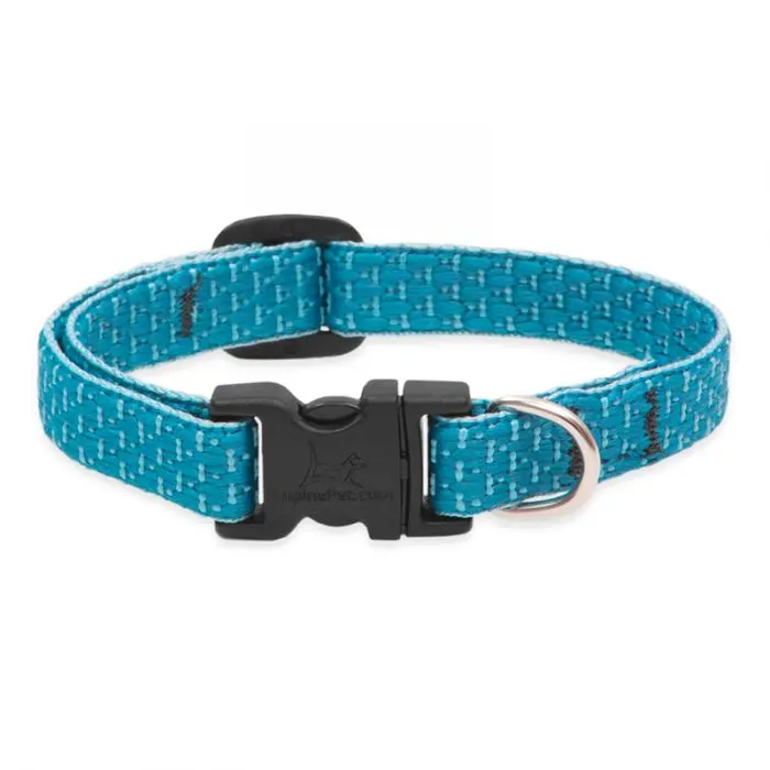 Lupinepet Eco Dog Collar 1