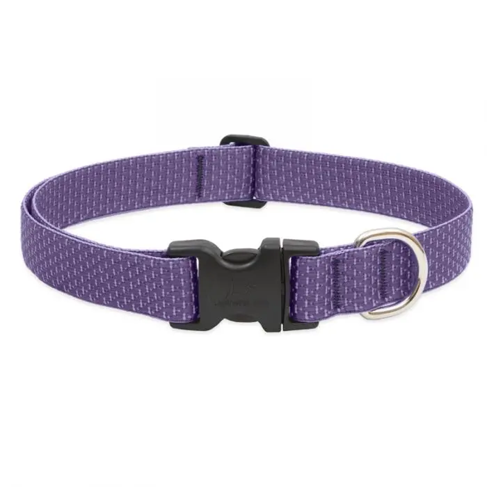 Lupinepet Eco Dog Collar 2
