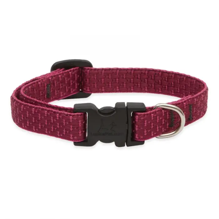 Lupinepet Eco Dog Collar 4
