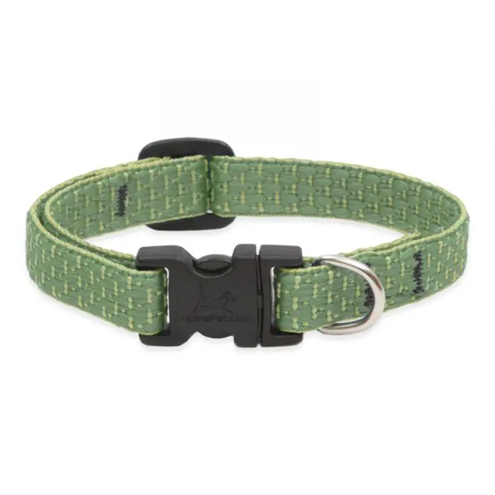 Lupinepet Eco Dog Collar 5