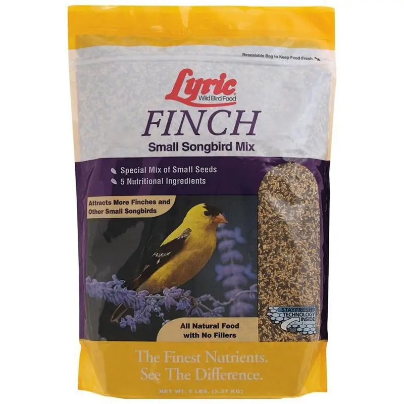 Lyric Finch Small Songbird Wild Bird Mix 1