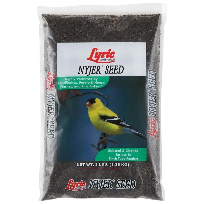Lyric Nyjer Seed 1