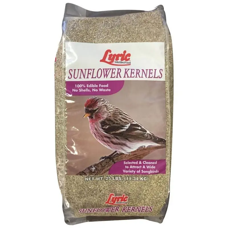 Lyric Sunflower Kernels 1