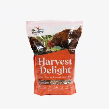 Manna Pro Harvest Delight™ Poultry Treat 1