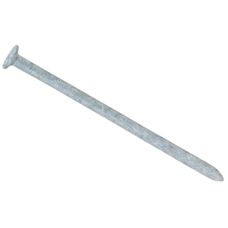 Maze 8D X 2-1/2 In. 11 Ga Hot Dipped Galvanized Spiral Shank Lumber Deck Nails (555 Ct., 5  Lb.) 1