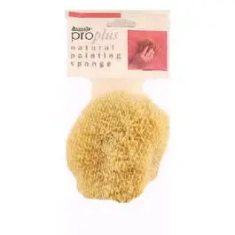 Medium Texture Painting Sponge 1