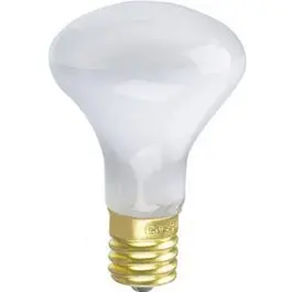 Mini-Reflector Flood Light Bulb, 40-Watts 1
