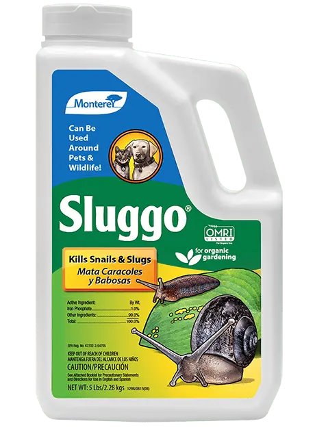 Monterey Sluggo 1