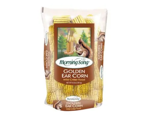 Morning Song Golden Ear Corn Wildlife Squirrel And Critter Food 1