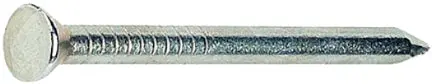 Nail 2-1/2 In Flt Mas 5 Lb 1