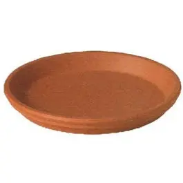 Natural Terra Cotta Clay Saucer, 10-In. 1