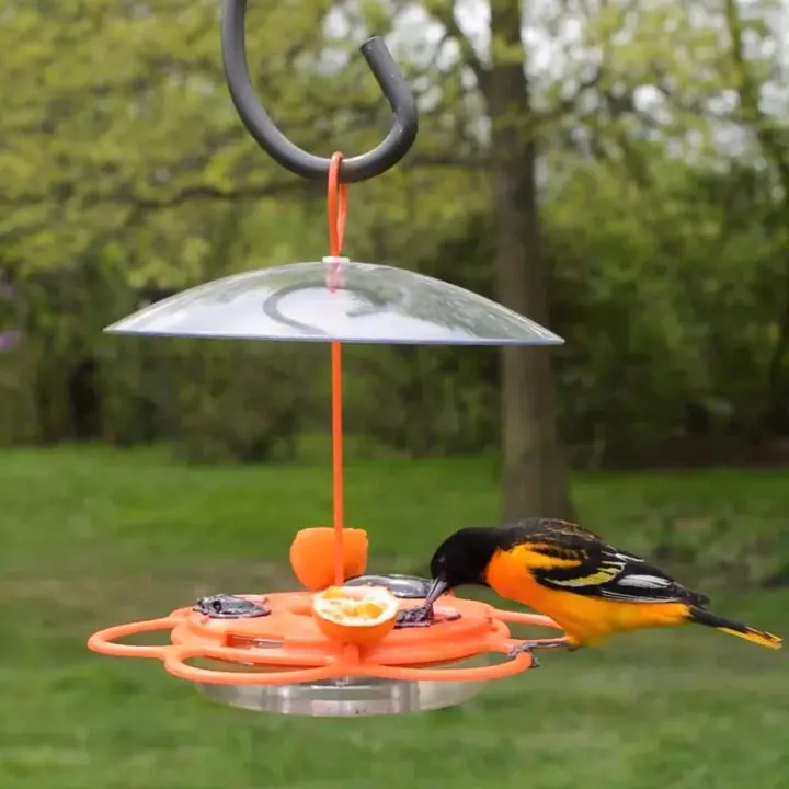 Nature's Way All-In-One Oriole Buffet Feeder 1