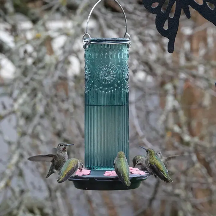 Nature's Way Bird Products Antique Glass Gravity Hummingbird Feeder 1