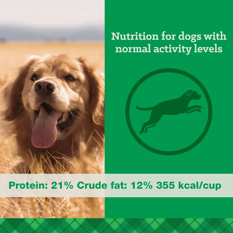 Nutrena® True Adult Maintenance 21/12 Dog Food 2