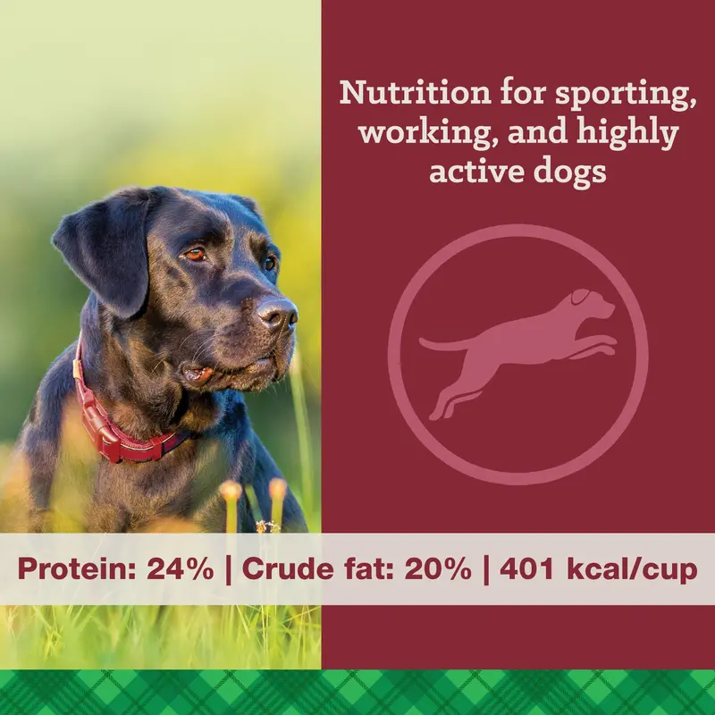 Nutrena® True High Energy 24/20 Dog Food 2