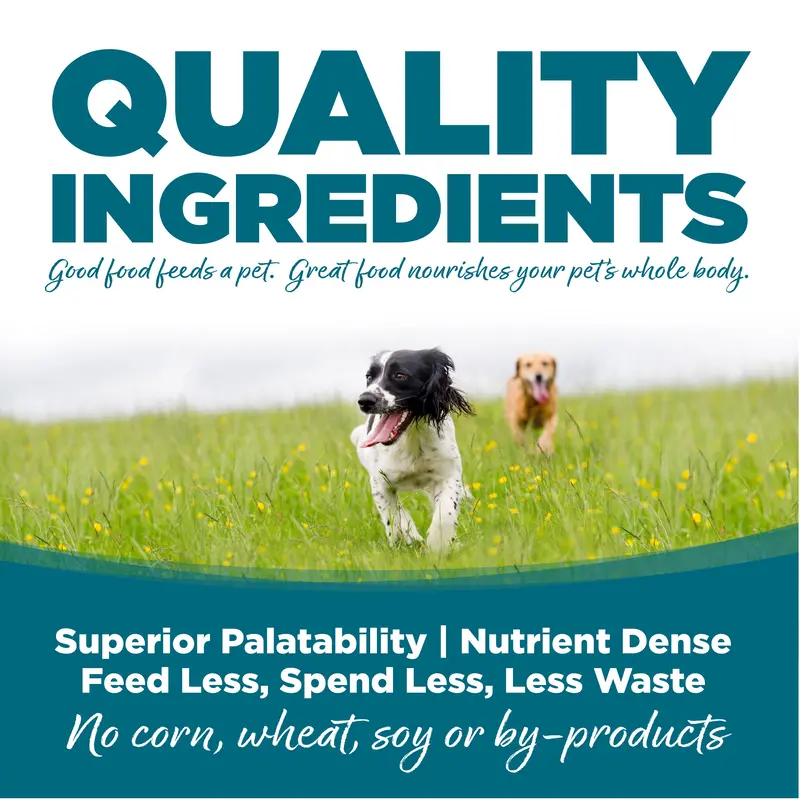 Nutrisource® Adult Chicken & Rice Recipe Dry Dog Food 5