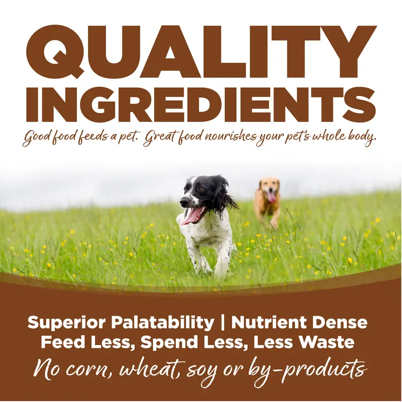 Nutrisource® Large Breed Lamb Meal & Rice Recipe Dog Food 2