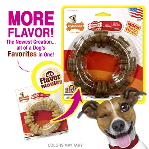 Nylabone Durachew Textured Ring Chicken Flavor Dog Toy 2
