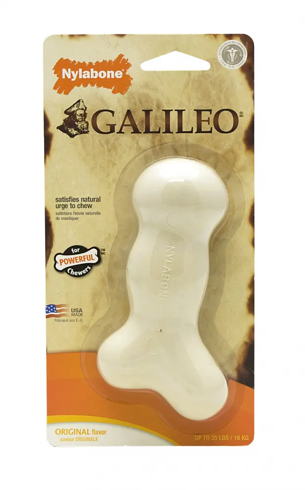 Nylabone Galileo Chew Bone Dog Toy 1