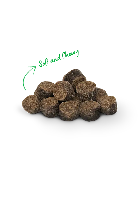 Open Farm Be Good Bites Grass-Fed Beef Treats 2