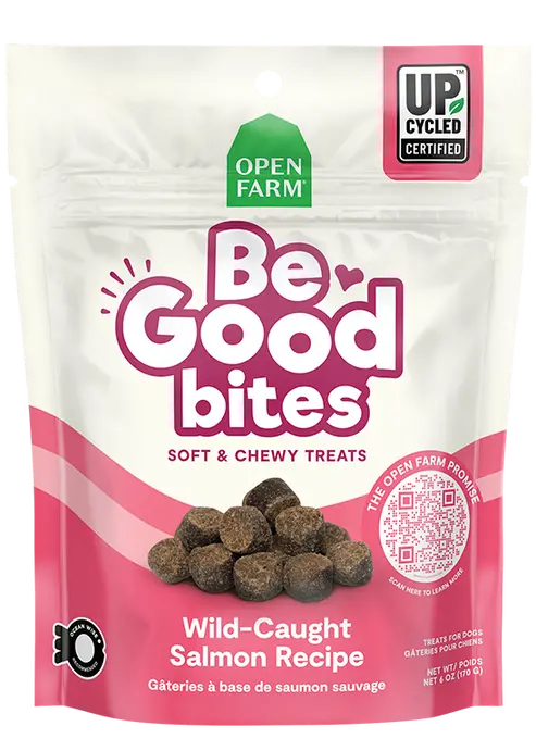 Open Farm Be Good Bites Wild-Caught Salmon Recipe Dog Treats 1