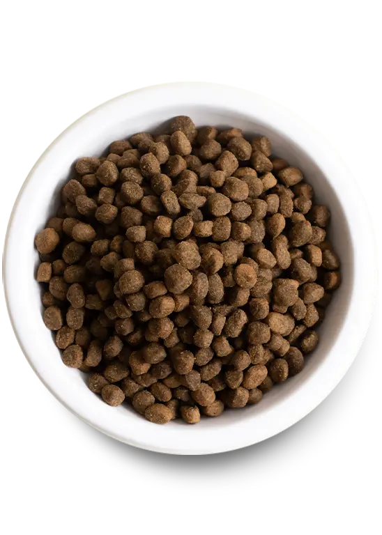Open Farm Small Breed Ancient Grain Dry Dog Food 2