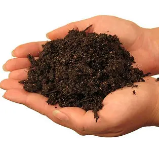 Organic Valley Top Soil 1